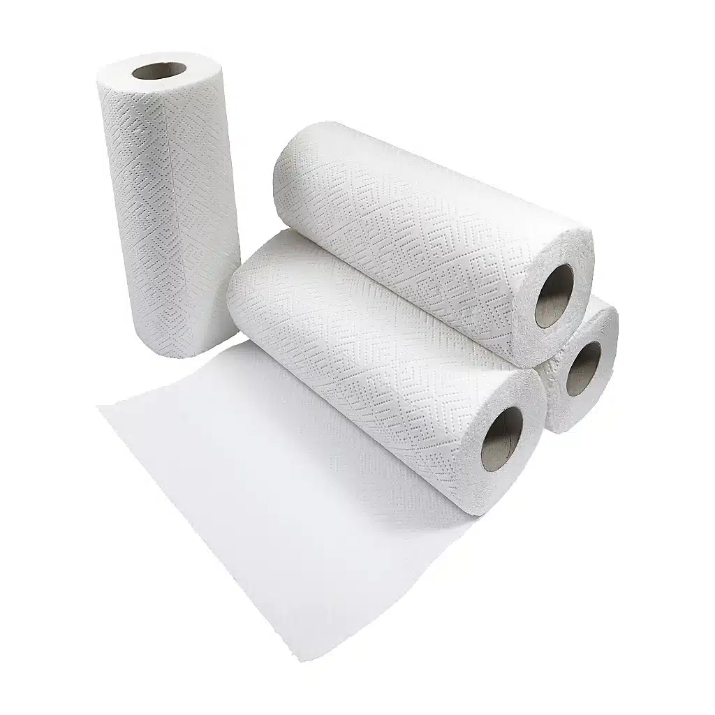 SALON PAPIER DE MENAGE